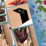 Da Smurfit Kappa Italia il packaging green e smart per fiori e piante