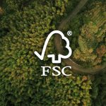 FSC: La corretta gestione delle risorse forestali